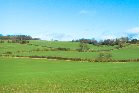 Chalk-upland scenery typical of The Chilterns AONB