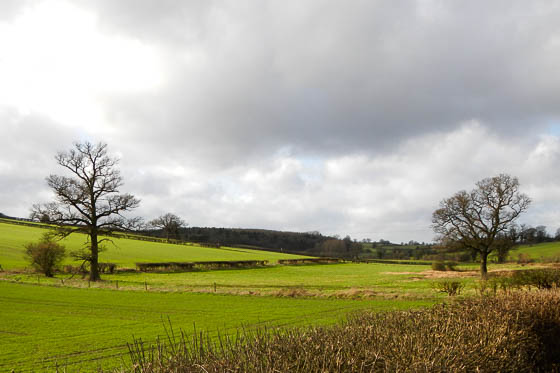 Winter cometh to t'hills