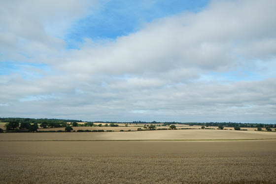 This was taken in late summer &mdash; it probably won't look quite so verdant in late October