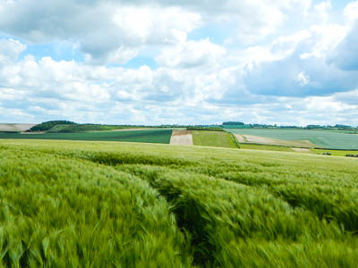 Spring in Barley (aptly named)