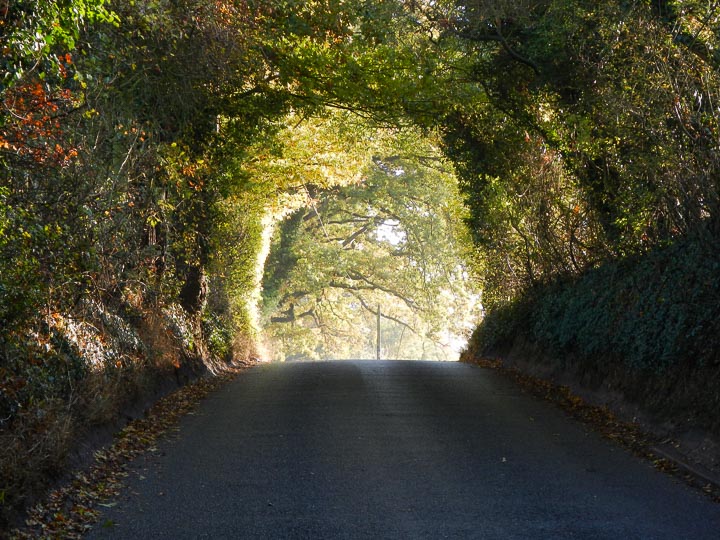 If the sun's shining on the day, you should see this green tunnel like so
